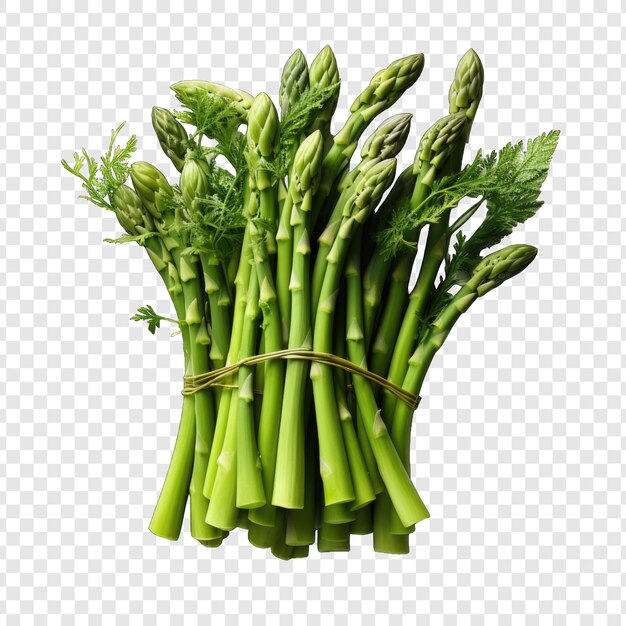 PSD isolated asparagos style png with white background illustration generative ia