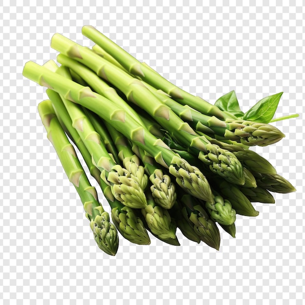 PSD isolated asparagos style png with white background illustration generative ia