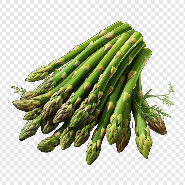 PSD isolated asparagos style png with white background illustration generative ia