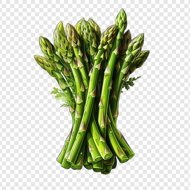 PSD isolated asparagos style png with white background minimalist generative ia