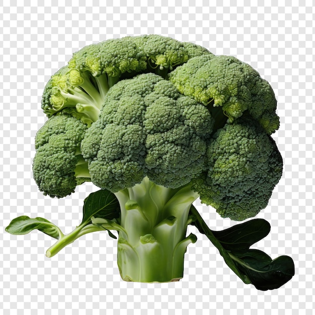 PSD isolated broccoli style png with white background generative ia