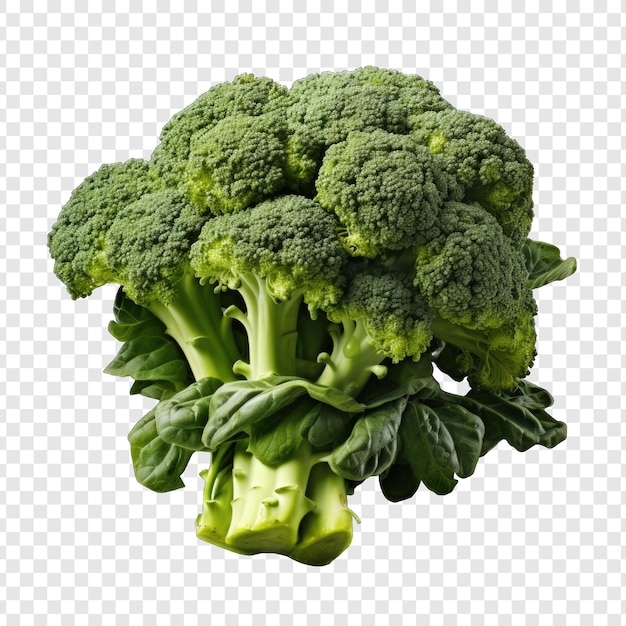 PSD isolated broccoli style png with white background minimalist generative ia