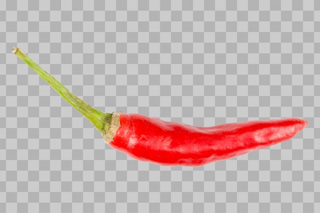 Isolated chili pepper