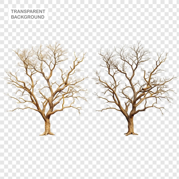 Isolated dead dried tree branches in a set on a translucent background