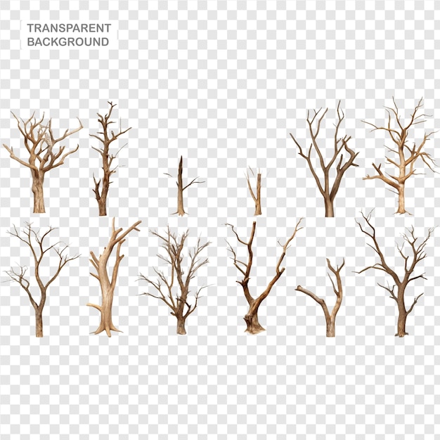 PSD isolated dead dried tree branches in a set on a translucent background