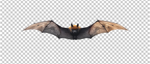 PSD isolated flying bat against transparent background