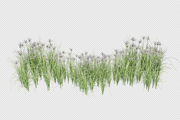 Isolated grass in 3d rendering