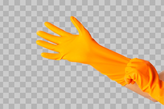 Isolated human hand is wearing a protective rubber glove