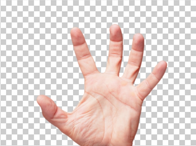 Isolated male hand hold gesture