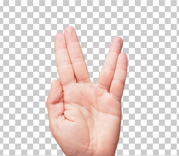 Isolated male hand peace or victory sign