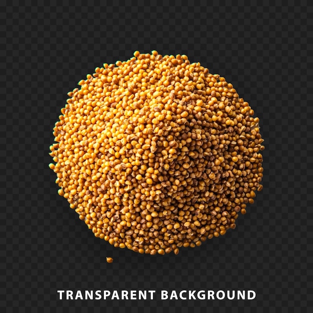 Isolated mustard seeds on a transparent background rich in flavor