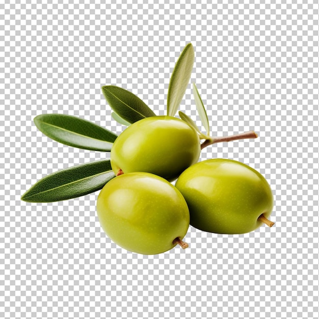 Isolated olive png