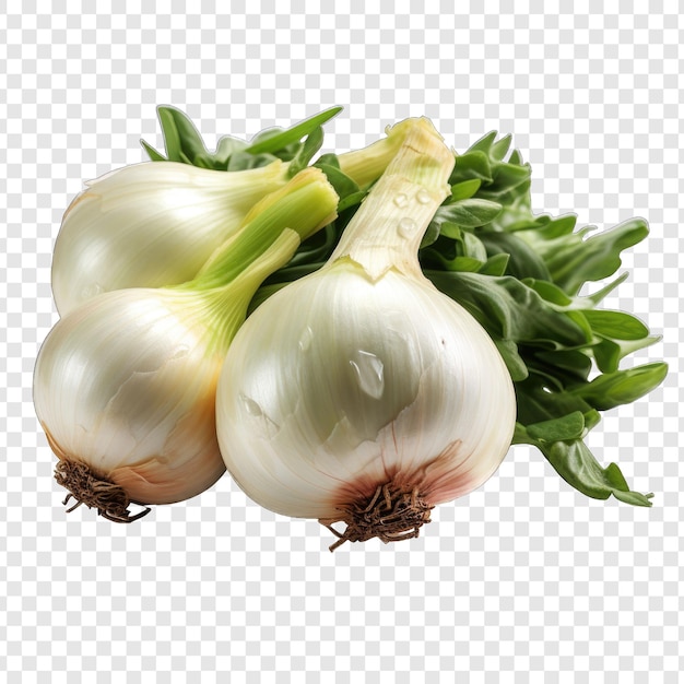 PSD isolated onion style png with white background cartoon generative ia