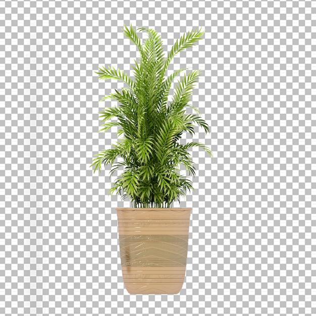 Isolated plant in 3d rendering