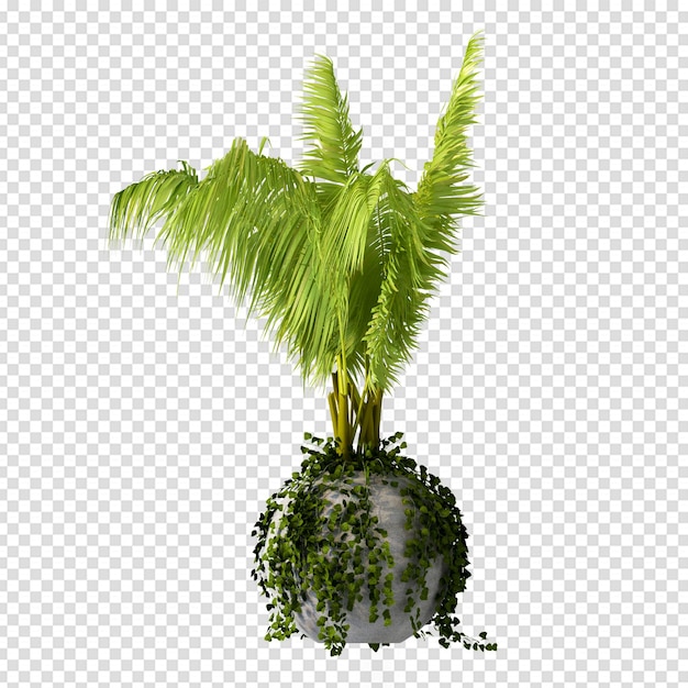 Isolated plant in 3d rendering