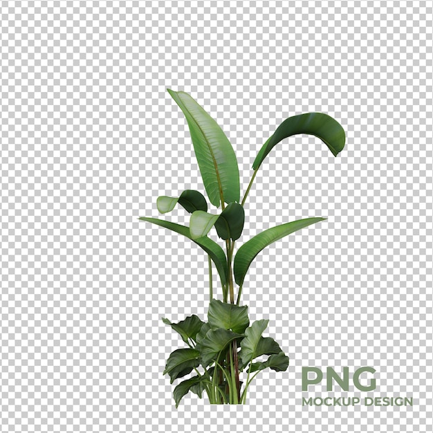 isolated plants scene creator