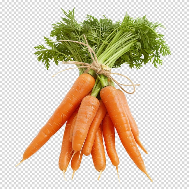 Isolated PNG of Carrot on transparent background for Carrot Day