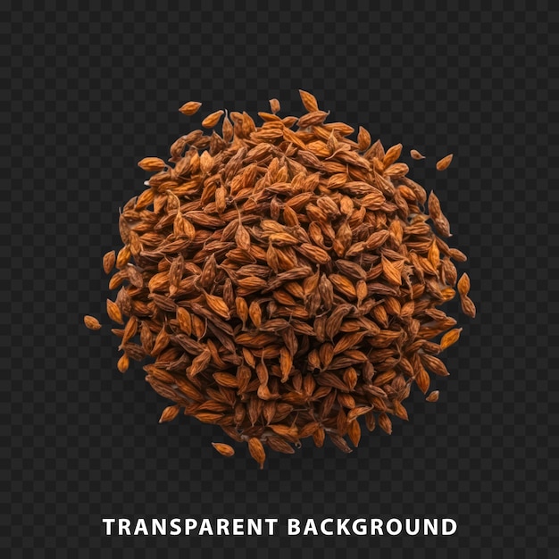 Isolated seeds on a transparent background showcasing natural texture