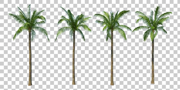 Isometric coconut trees 3d rendering