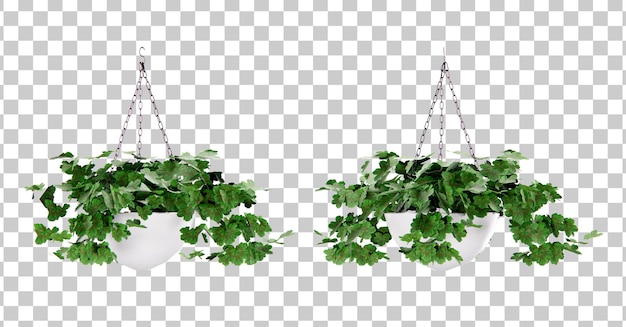 Isometric hanging plant flower 3d rendering