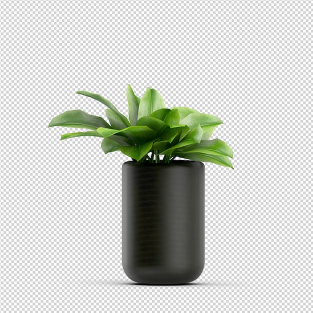 Isometric Plant 3d rendering