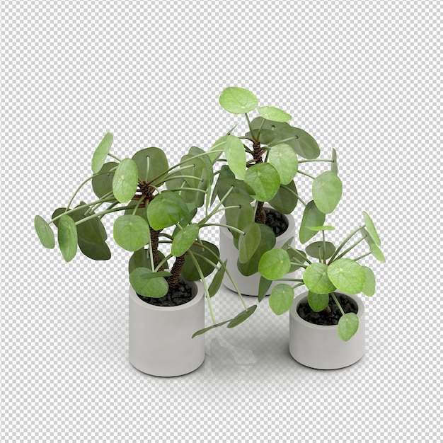 Isometric Plant 3d rendering