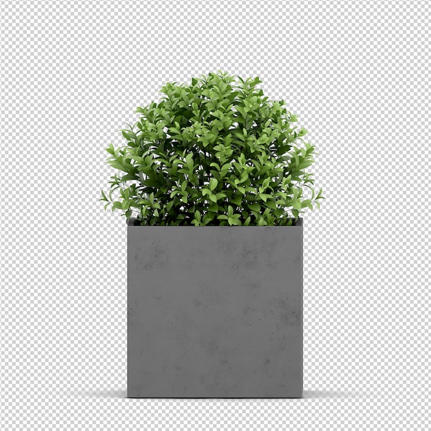 Isometric Plant 3d rendering