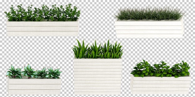 Isometric plant in 3d rendering