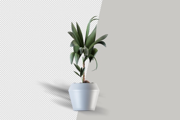 Isometric plant 3d rendering