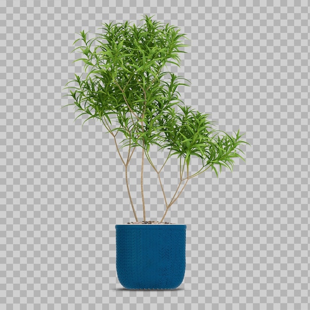 Isometric plant in blue pot in 3d rendering