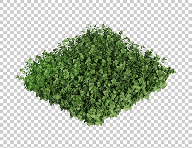 Isometric plant bush 3d rendering for garden