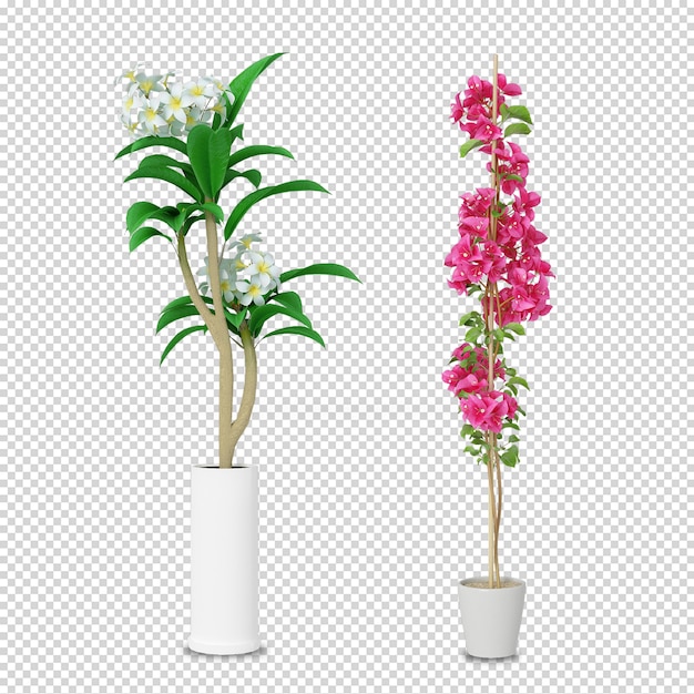 Isometric plants in 3d rendering