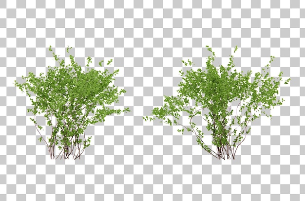 Isometric shrub plant 3d rendering