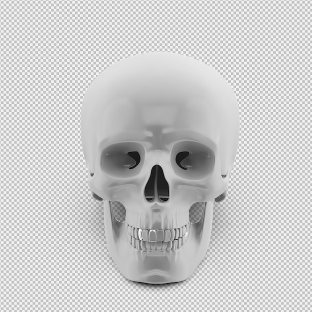 Isometric skull 3D isolated render