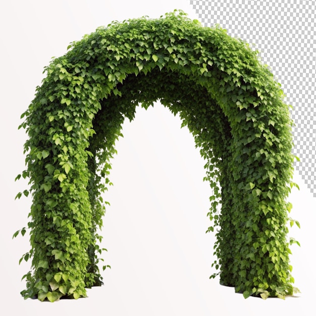 PSD ivy covered arch on transparent background