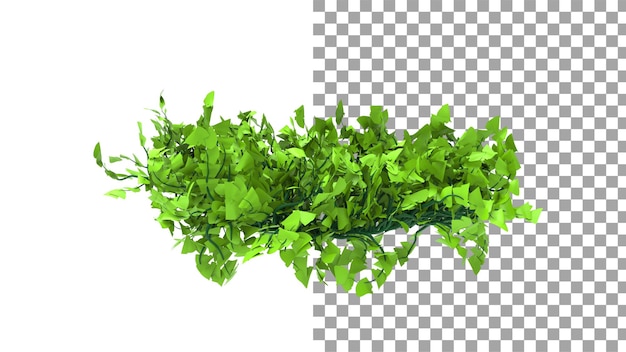 Ivy plants without shadow 3d render