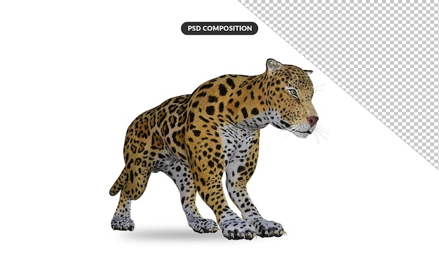 Jaguar animal 3d rendering