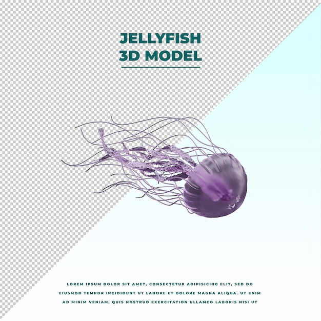 jellyfish