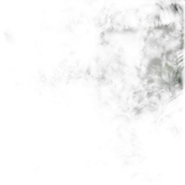 Jungle PSD on a white background