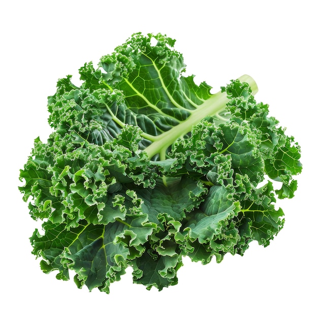 Kale Isolated on a Transparent Background