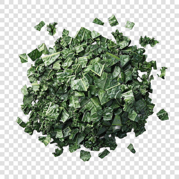 Kale realistic vegetable healty food