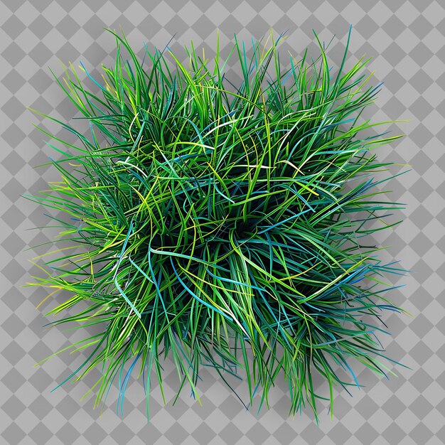 Kikuyu Grass With Jade Green Branches and Royal Blue Mixed G PNG Green Grass Texture Image