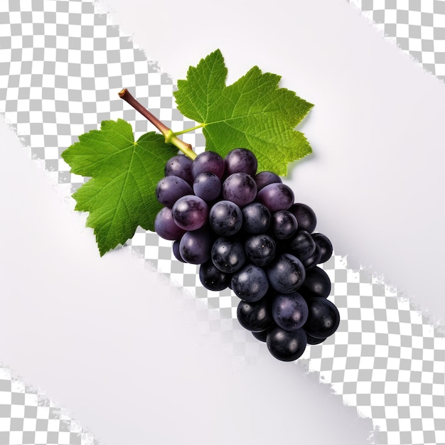 Kyoho grape isolated on transparent background with clipping path Black wine grape with leaves isolated on transparent background