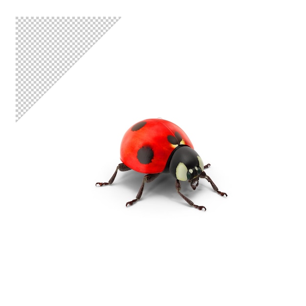 Lady Bug PNG