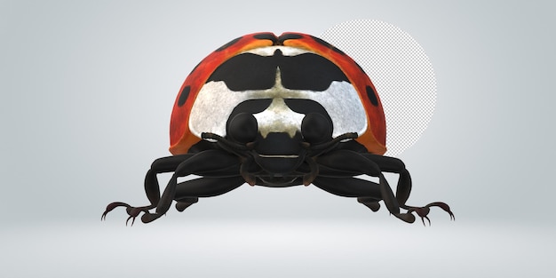 Ladybird isolated on a Transparent Background