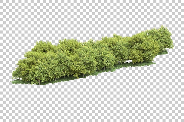 Landscape arrangement isolated on transparent background 3d rendering illustration