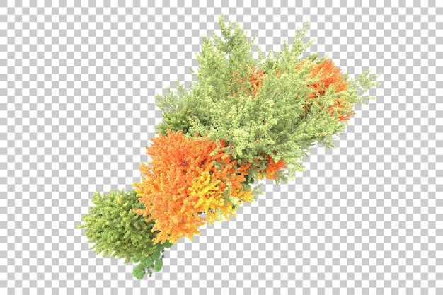 Landscape arrangement isolated on transparent background 3d rendering illustration