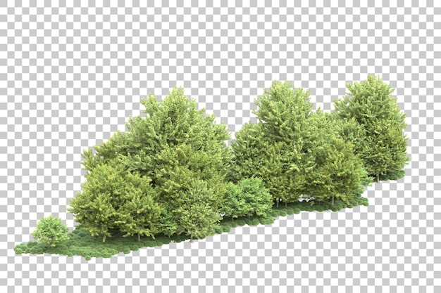 Landscape arrangement isolated on transparent background 3d rendering illustration