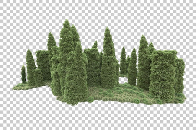 Landscape arrangement isolated on transparent background 3d rendering illustration