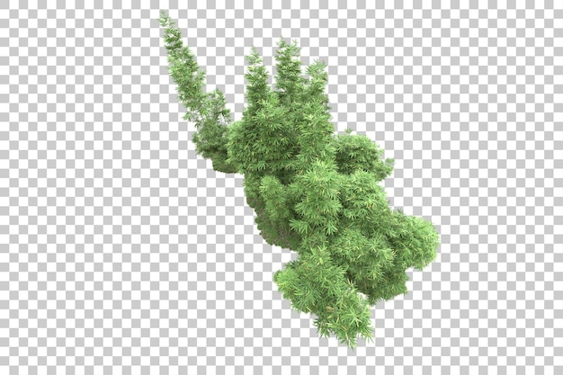 Landscape arrangement isolated on transparent background 3d rendering illustration